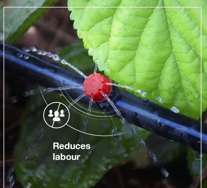 BTREE mini drip irrigation unit for smart farming